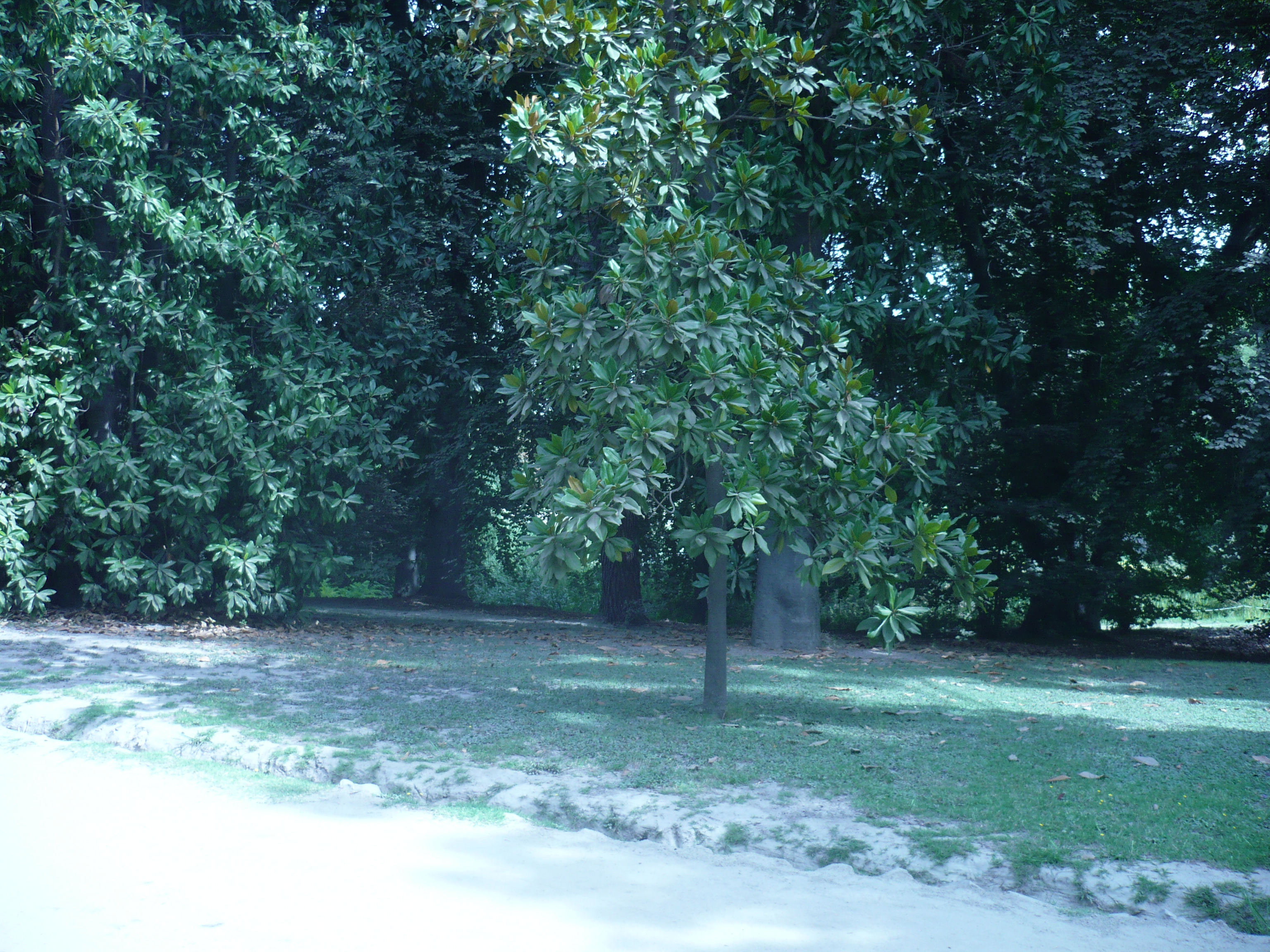 TransferVan